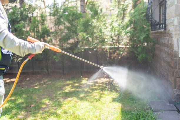 Best Pest Inspection Near Me  in Palmyra, WI