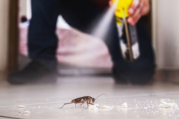 Best Emergency Pest Control  in Palmyra, WI